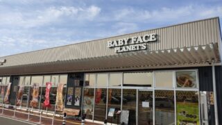 21年 各務原市桜まつり は4 3 土 4 4 日 に市民公園で開催 かがいま 各務原の生活情報 観光 グルメ 小ネタまで